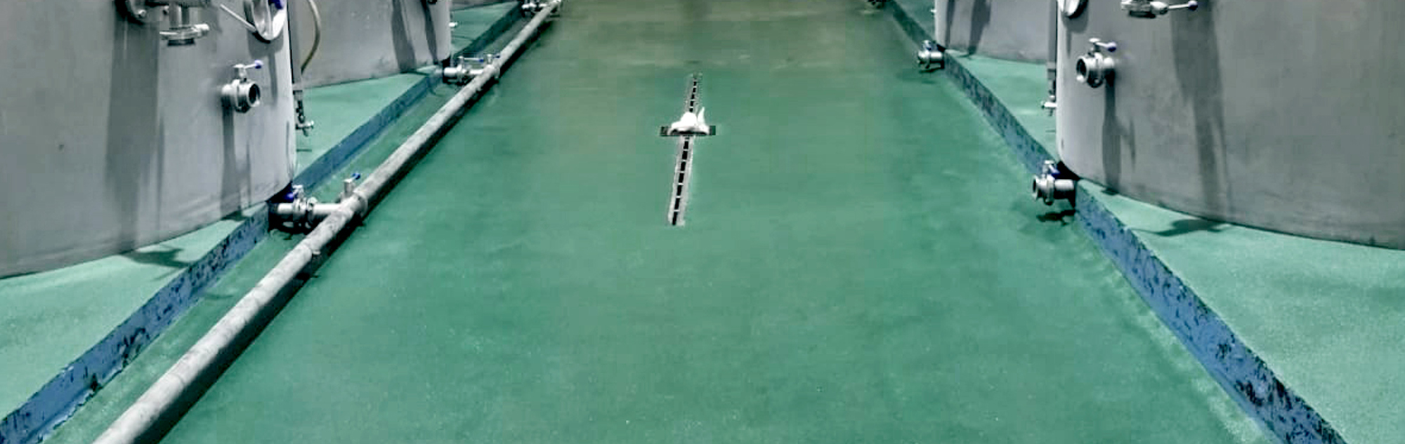 cuarzocolorApaisadaBIS